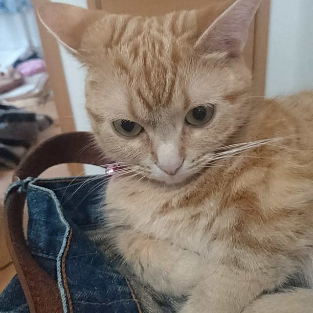 shinobuさんの実例写真