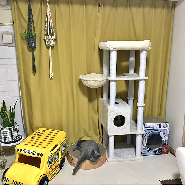 kittyさんの実例写真