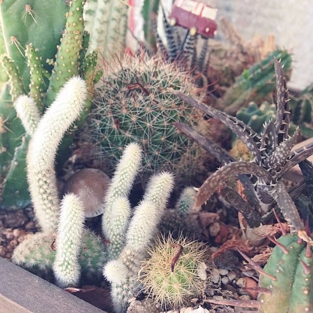 563kさんの実例写真