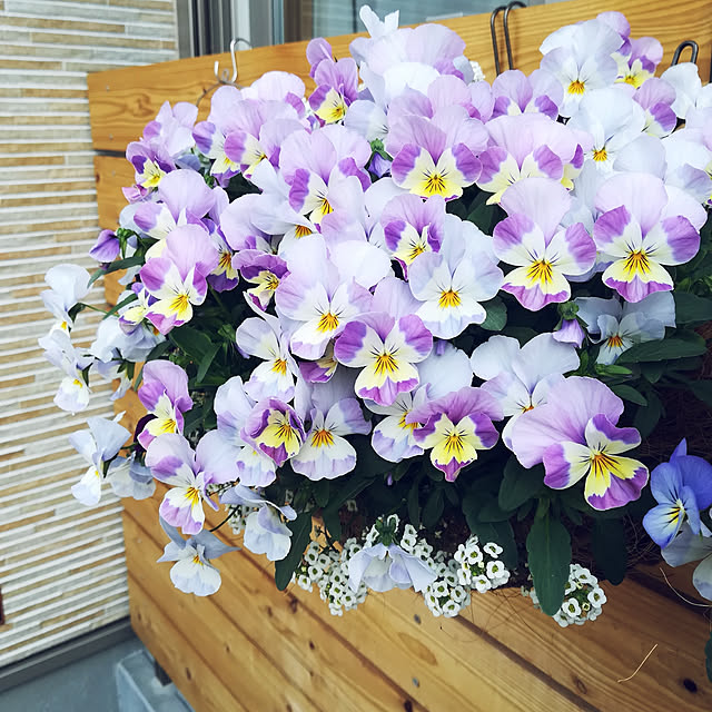Jijiさんの実例写真