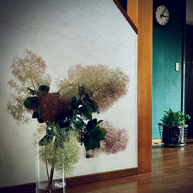 akeさんの実例写真