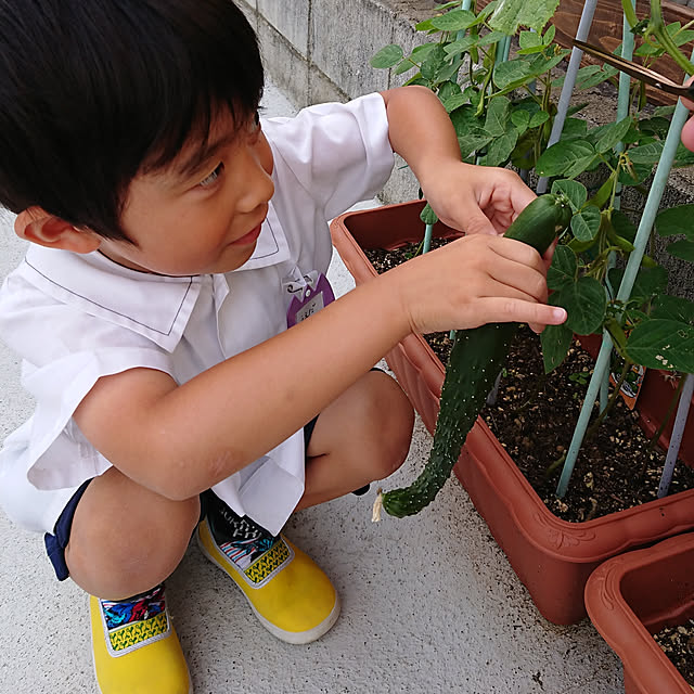 aoirohaさんの実例写真
