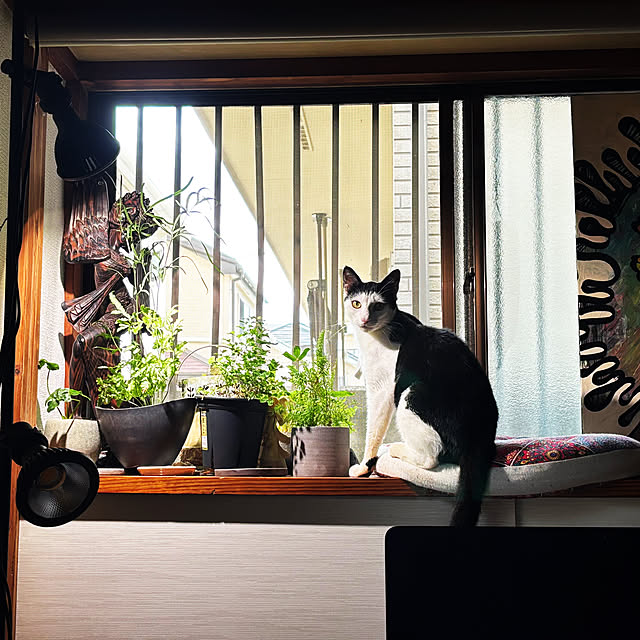 mayaさんの部屋