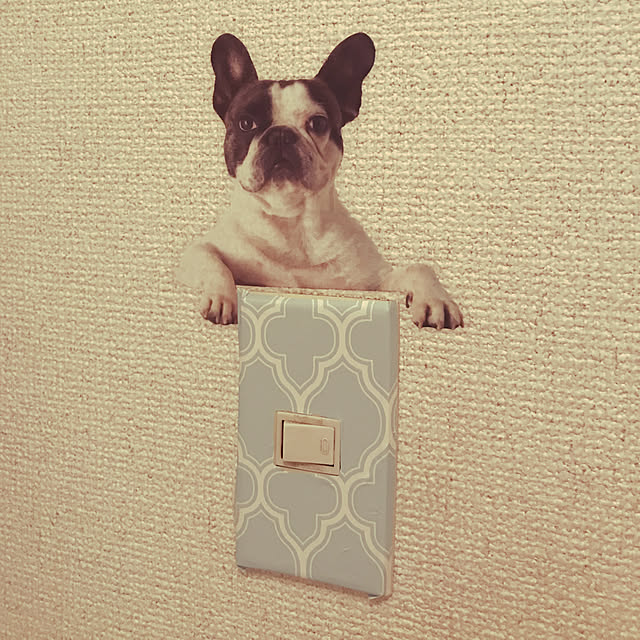 Aoiさんの実例写真