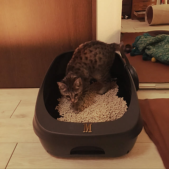 Mさんの実例写真