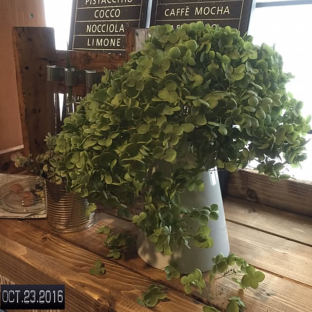 natulove0418さんの実例写真