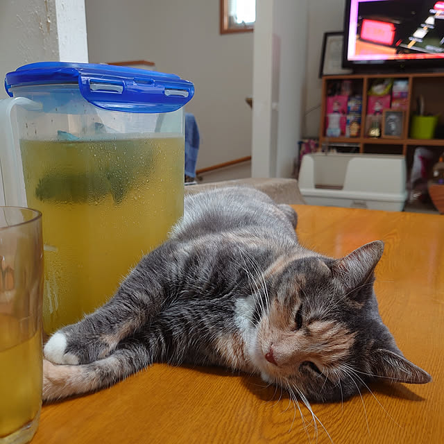 shinobuさんの実例写真