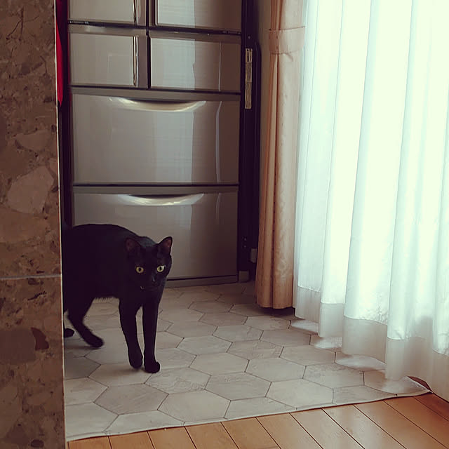 Stainさんの実例写真