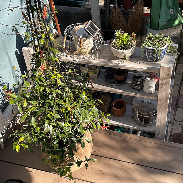 nobikoさんの部屋