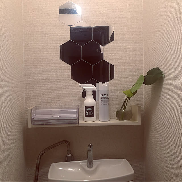 colorerさんの実例写真