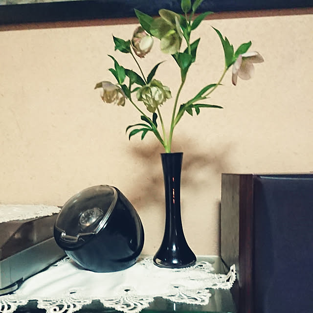 junkn6さんの実例写真