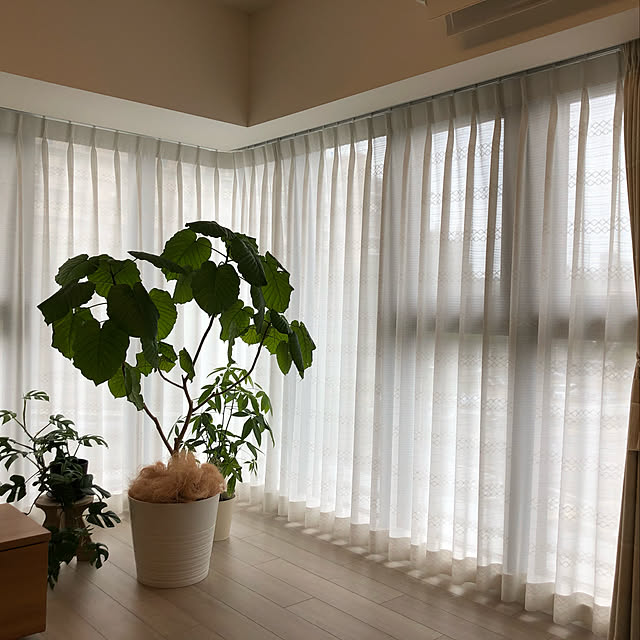 ms710さんの実例写真