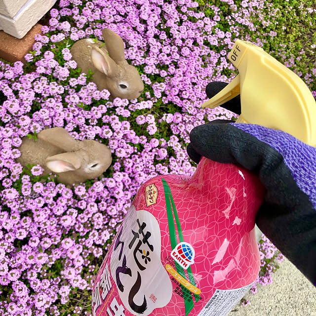 Junさんの実例写真