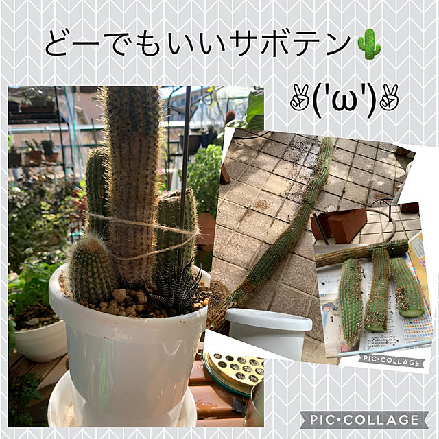 Aqettyさんの実例写真