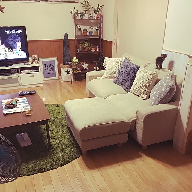 ayumiさんの実例写真