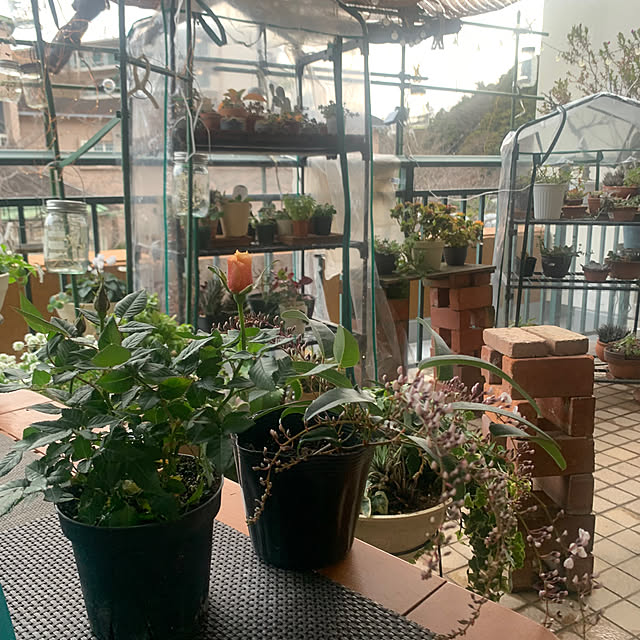 Aqettyさんの部屋