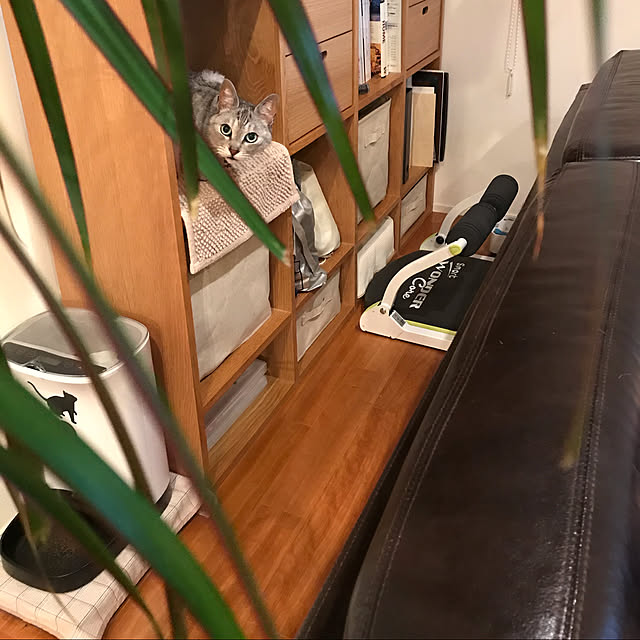 maroさんの実例写真