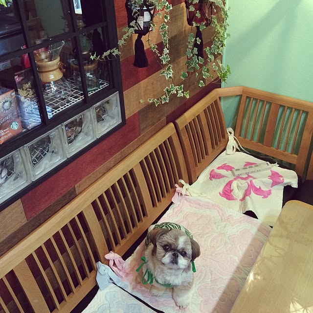 ANNAさんの実例写真