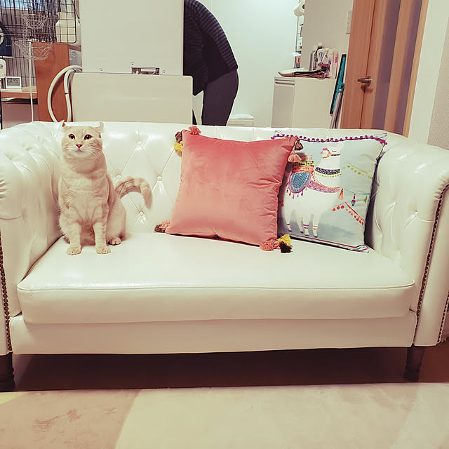 makoさんの実例写真