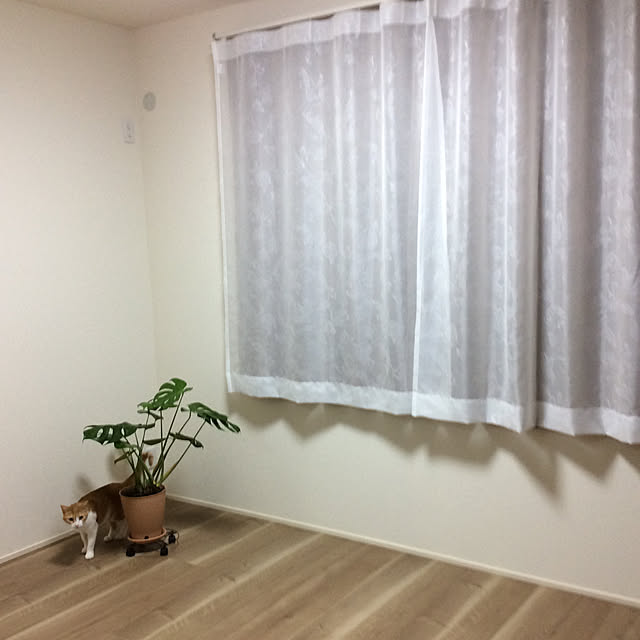 houenさんの実例写真
