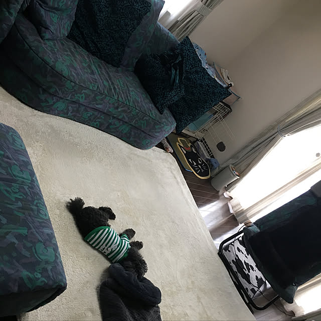 macmacさんの実例写真