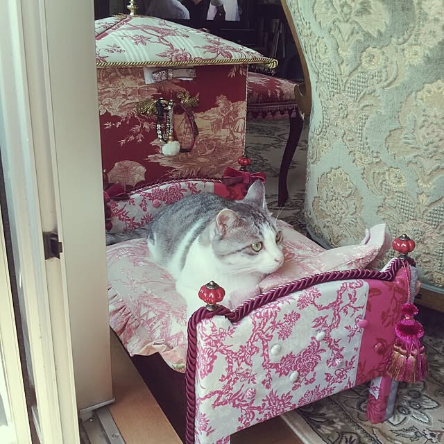 emmyyさんの実例写真