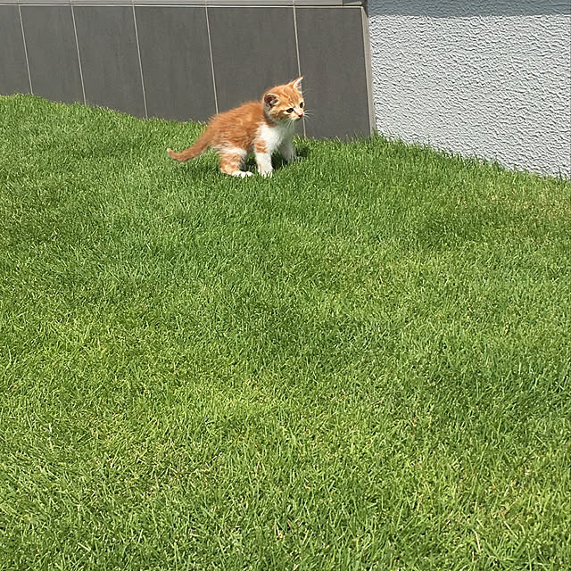 taeさんの実例写真