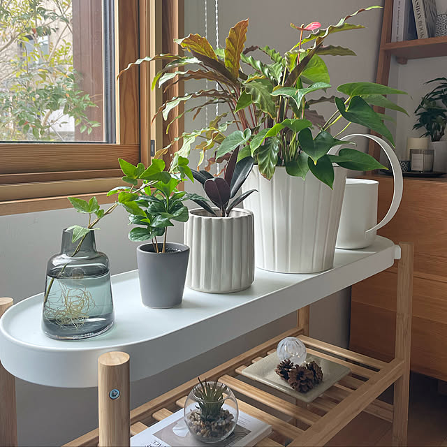 IKEA サッツマスのインテリア実例 | RoomClip(ルームクリップ) IKEA サッツマスのインテリア実例 | RoomClip(ルームクリップ)