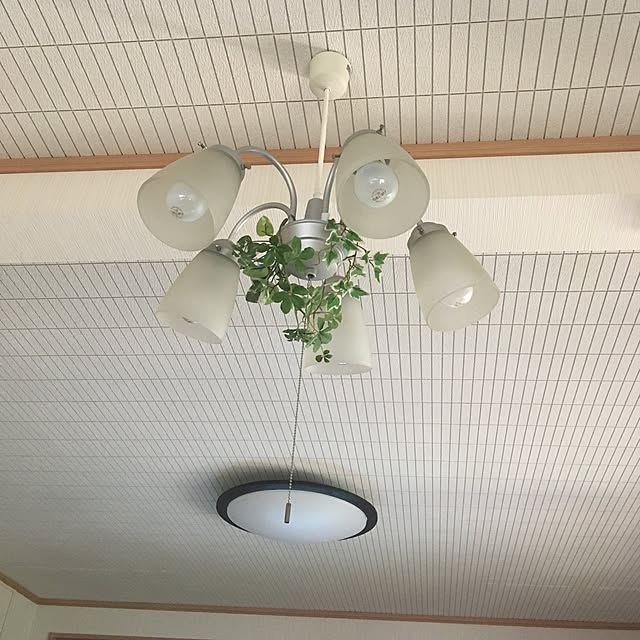 momokaさんの実例写真