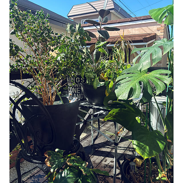 usagiさんの部屋