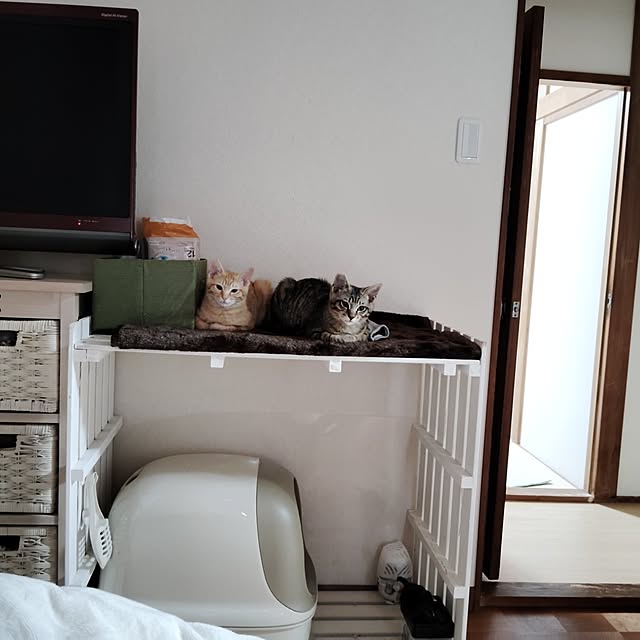 SAORIさんの実例写真