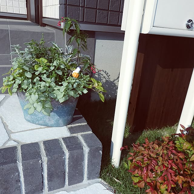 ayunさんの実例写真