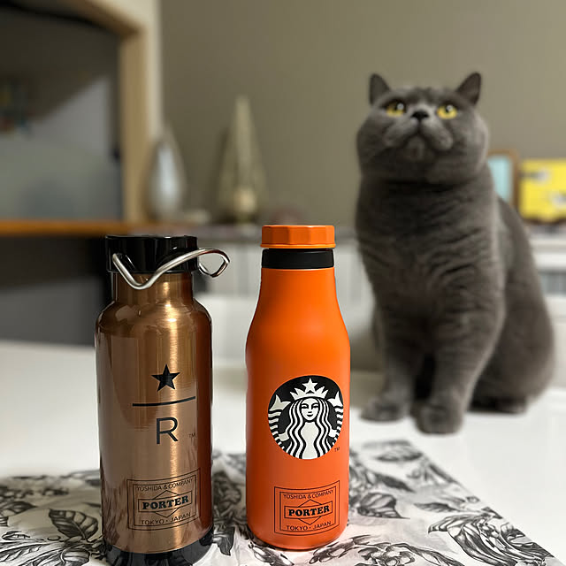 kittyさんの実例写真