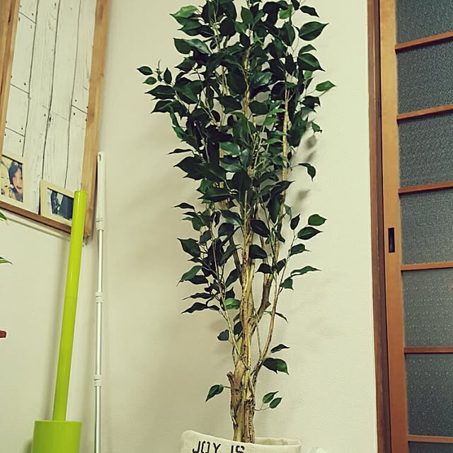 ohanaさんの実例写真