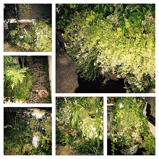 GreenWorksさんの実例写真