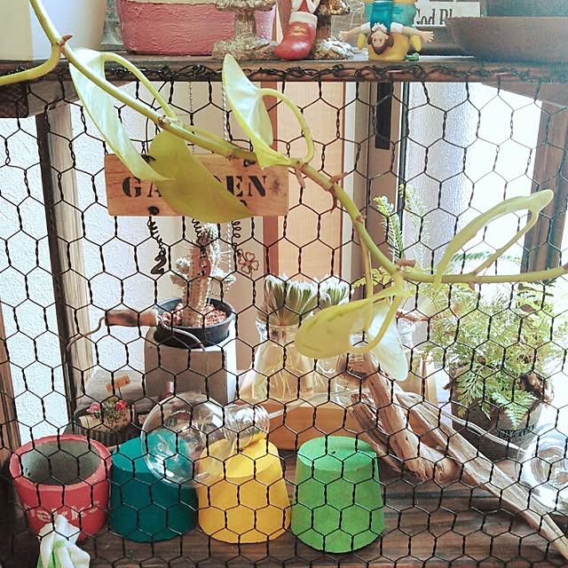 akr29さんの実例写真