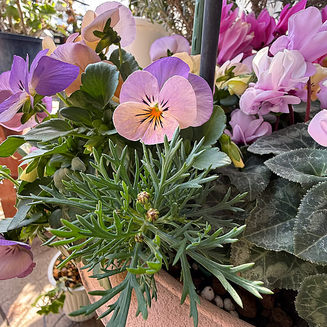 Aqettyさんの部屋