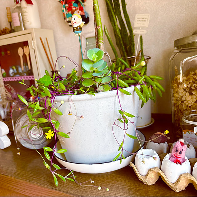 takakoさんの実例写真