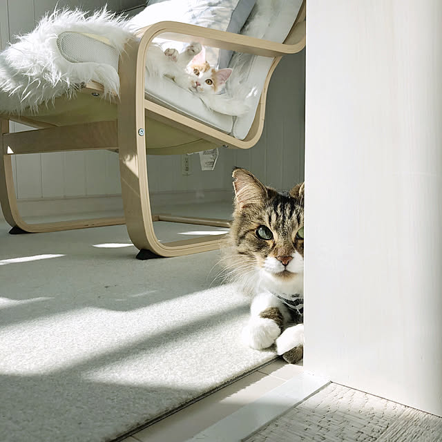 yuchiさんの実例写真