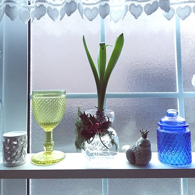 **yuu**さんの実例写真