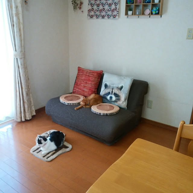 yum0408さんの実例写真