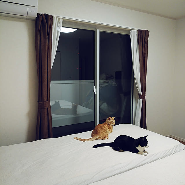 shiiiさんの実例写真