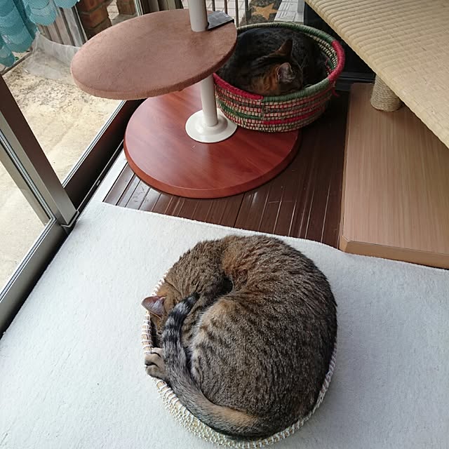 mama26さんの実例写真