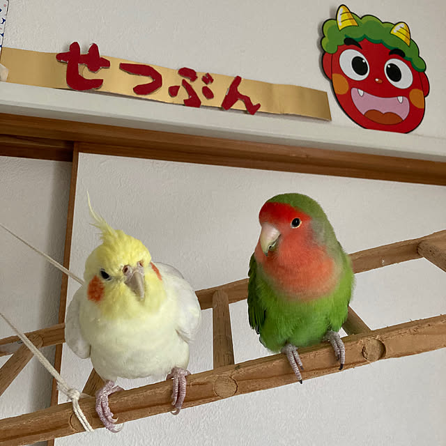 toratanさんの部屋