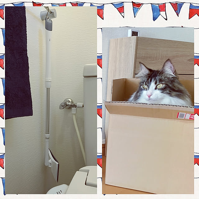 +CHIHARU+さんの実例写真