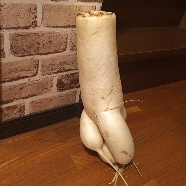 mayuyuさんの実例写真