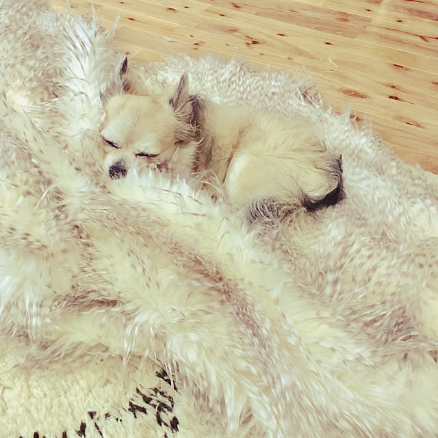 tmeoさんの実例写真