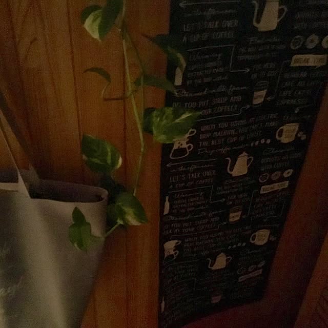玄関/入り口のインテリア実例 - 2017-04-01 17:52:15