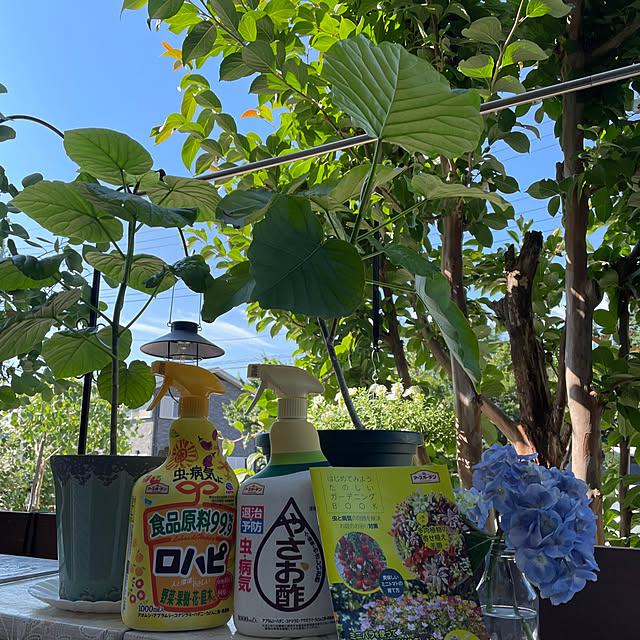 ronronさんの部屋