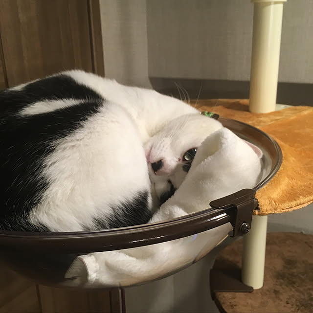 hanaさんの実例写真